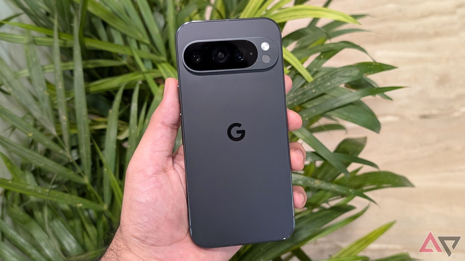Pixel 9 Pro in hand in front of a plant